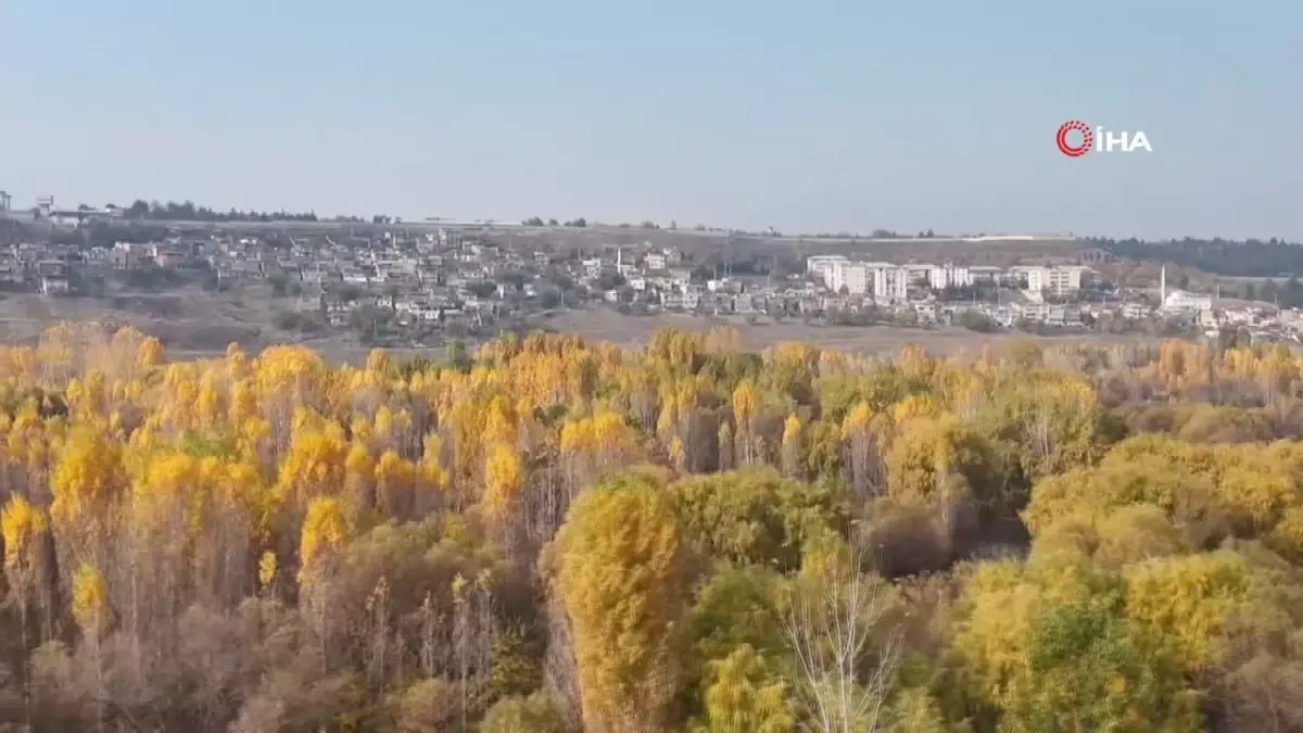 Hevsel Bahçeleri’nde Sonbahar Renkleri